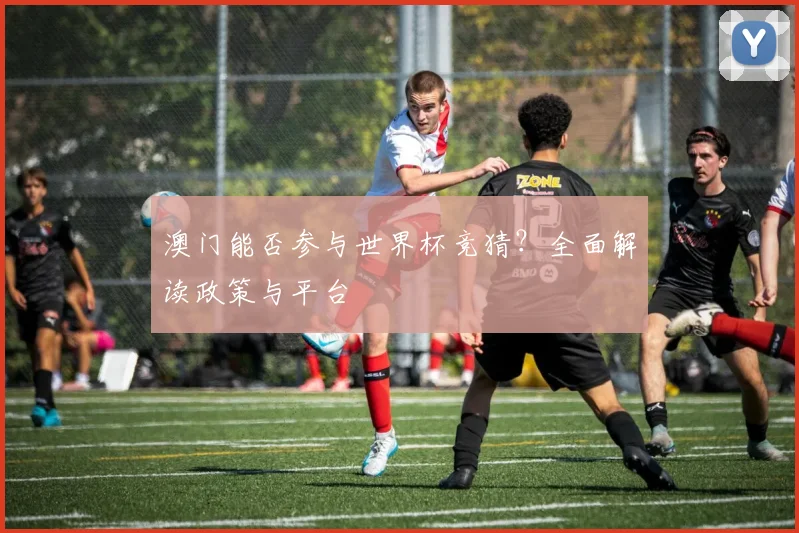 澳门能否参与世界杯竞猜？全面解读政策与平台